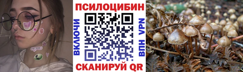 мега маркетплейс  Баксан  Галлюциногенные грибы мухоморы 