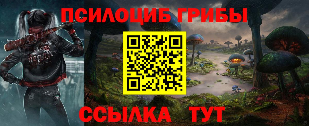 Псилоцибиновые грибы Psilocybe  закладка  Баксан 