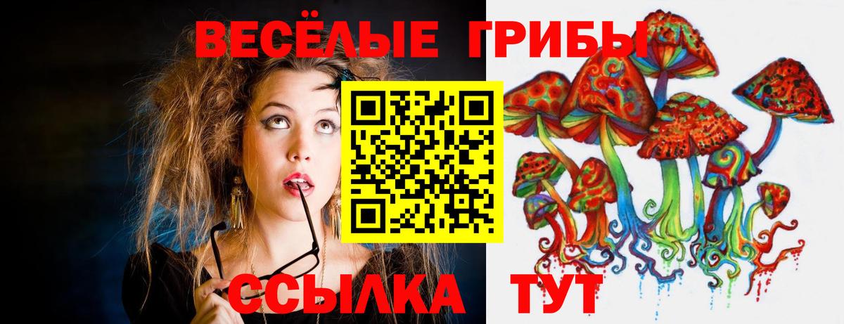Галлюциногенные грибы Psilocybe  Вход с VPN  Баксан  Псилоцибиновые грибы Psilocybine cubensis 